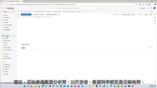 Databricks AI-BI实战教程
