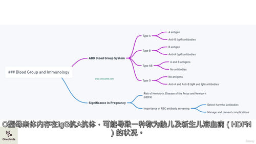医学免疫学：USMLE Step 1 备考课程  (中文字幕