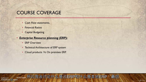财务管理与企业资源规划（ERP）实战课程  (中文字幕英文视