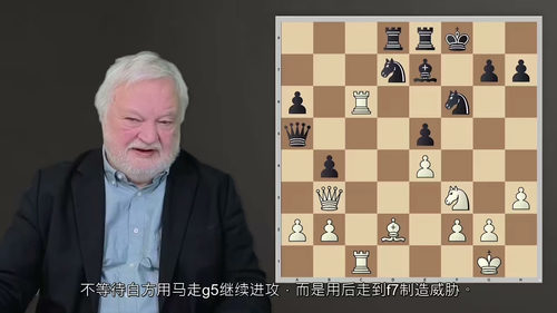 国际象棋进阶实战教程