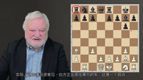 国际象棋进阶实战教程