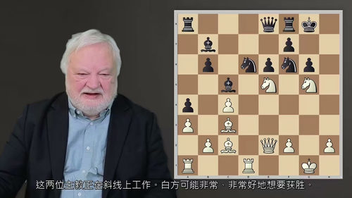 国际象棋进阶实战教程