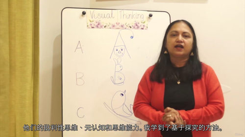 课堂视觉思维教学应用（中文字英文视频教程）