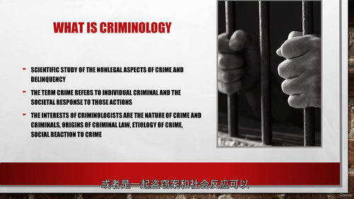 犯罪学导论英文视频中字幕教程