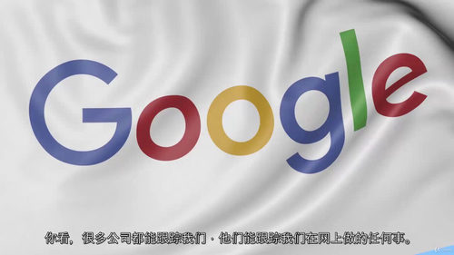 网络安全入门指南:进阶防护篇 (中文字幕英文视频教程)
