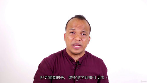网络安全入门指南:进阶防护篇 (中文字幕英文视频教程)