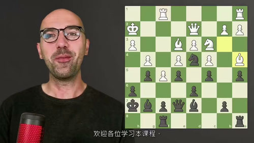 国际象棋实战技法精解：实用训练手册 英文视频课程中文外挂字幕