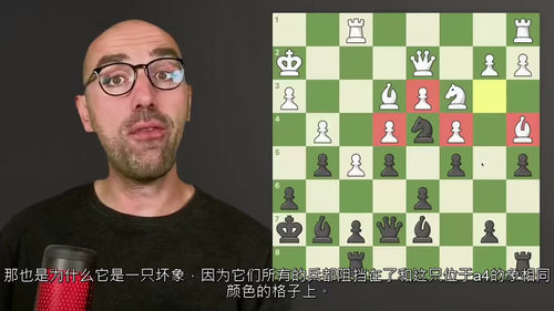 国际象棋实战技法精解:实用训练手册 英文视频课程中文外挂字幕