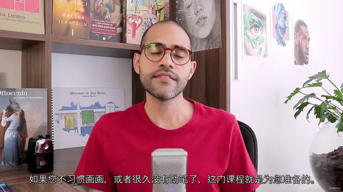人像素描零基础精讲教程 (英文视频中文外挂字幕教程)