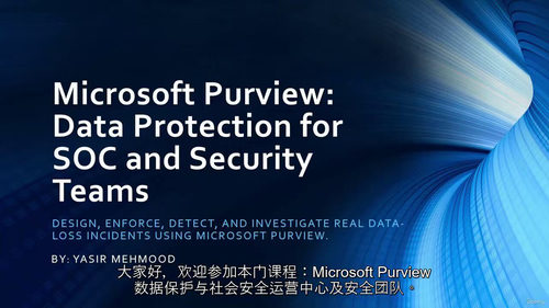 Microsoft Purview数据保