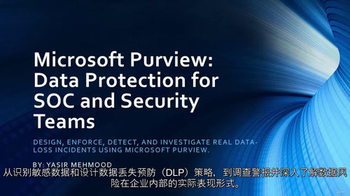 Microsoft Purview数据保
