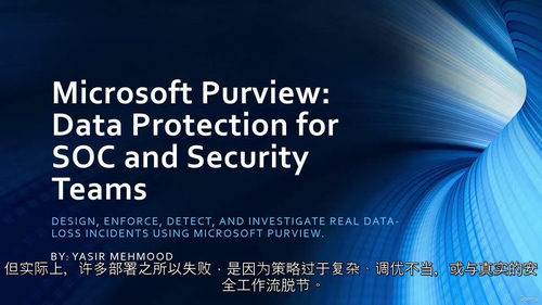 Microsoft Purview数据保