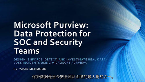 Microsoft Purview数据保