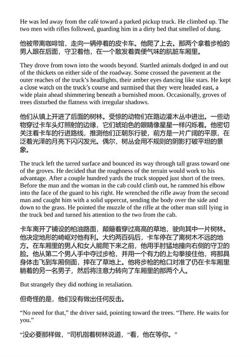 恶魔的黄金 史蒂夫·贝里 （中英对照电子书）