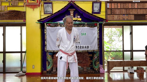 三战与天正:霍卡玛学院空手道型修炼指南 (英文课程中文字幕)