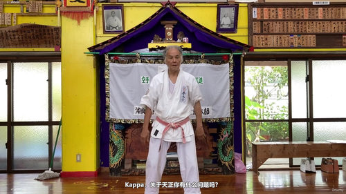 三战与天正:霍卡玛学院空手道型修炼指南 (英文课程中文字幕)