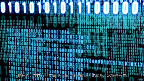 行为设计与用户体验 (英文视频课程，中文外挂字幕)