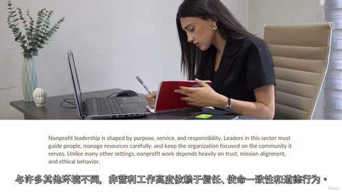 非营利组织领导与管理 (英文视频课程，中文外挂字幕)