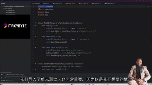 少调试多测试：精通软件测试实战课程（中文字幕英文视频教程）