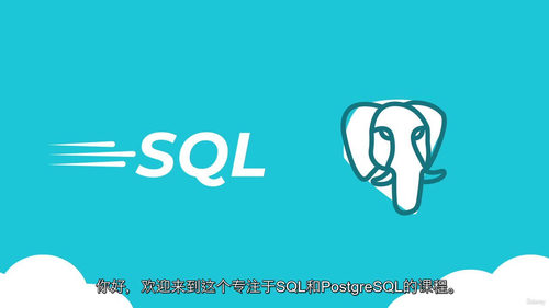 SQL 与 PostgreSQL 实用实战课程(中文字幕英文