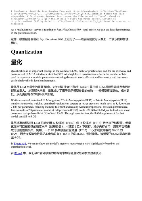 大语言模型:难点解析 塔尔西斯·T·P·索萨 & 乔纳森·K·雷根斯坦 Jr. (中英对照电子书)