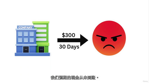 会计坏账与可疑债务完全精通课程（中文字幕英文视频教程）