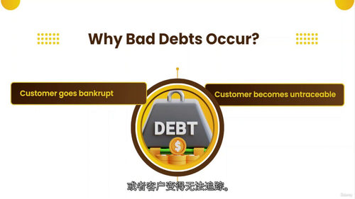 会计坏账与可疑债务完全精通课程（中文字幕英文视频教程）