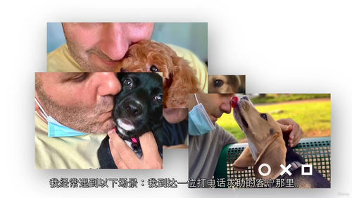 幼犬基础训练实用指南：新手入门前几周 (中文字幕英文视频教程