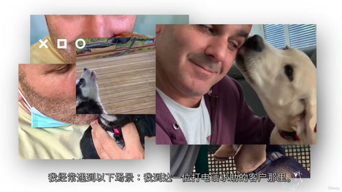 幼犬基础训练实用指南：新手入门前几周 (中文字幕英文视频教程