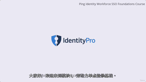 Ping身份员工单点登录基础教程