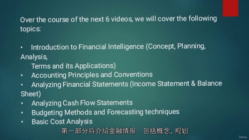 非财务专业人士的财务分析与规划课程  (中文字幕英文视频教程