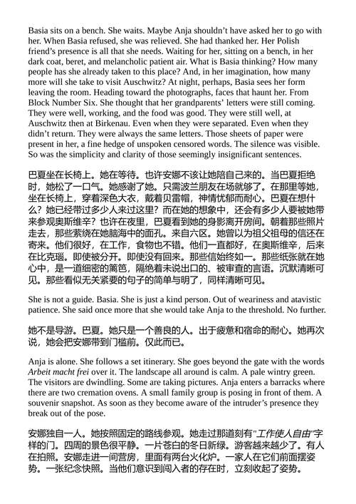 我是XX的哥哥 / 弗洛尔·雅吉 （中英对照电子书）