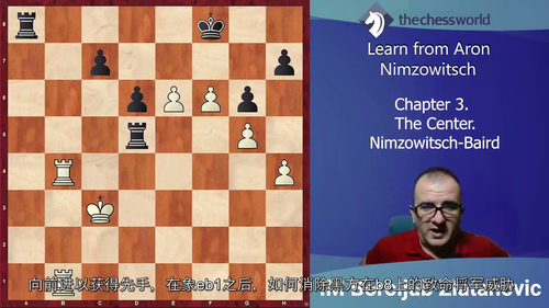 从阿隆·尼姆佐维奇学国际象棋：探索棋艺精髓（中文字幕英文视频