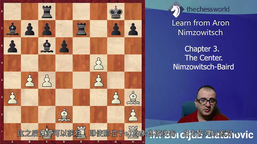 从阿隆·尼姆佐维奇学国际象棋：探索棋艺精髓（中文字幕英文视频