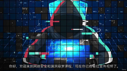 网络安全与漏洞赏金:渗透测试实战指南 (中文字幕英文视频教