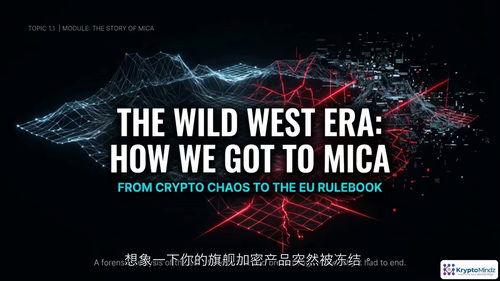 MiCA合规实战教程