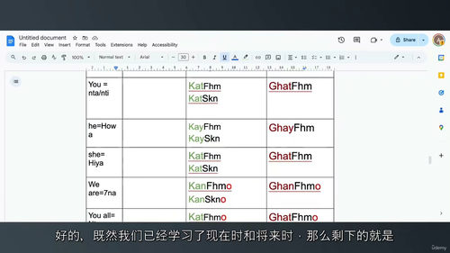 零基础摩洛哥阿拉伯语（达里加语）系统精通教程 (中文字英文视