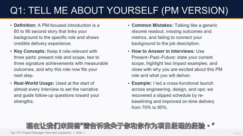 项目经理面试高频 101 问 核心知识全解 (英文视频中文外