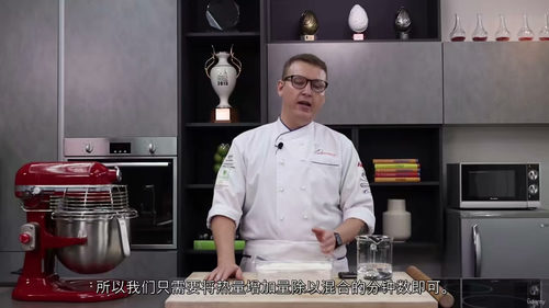专业面包制作精讲(中英视频)