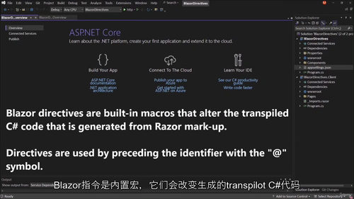 Blazor 指令精通：实战案例指南
