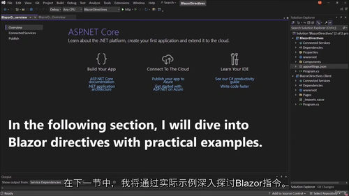 Blazor 指令精通：实战案例指南