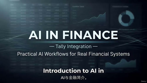 Tally 融合人工智能金融应用实战