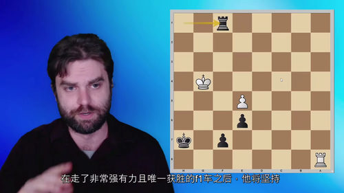 国际象棋车兵残局理论精解(GM 山姆・尚克兰德权威教程)