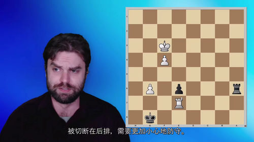 国际象棋车兵残局理论精解(GM 山姆・尚克兰德权威教程)