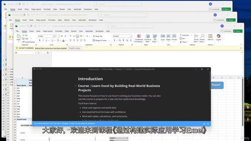 实战商业项目Excel精通教程 (英文视频中文外挂字幕教程)