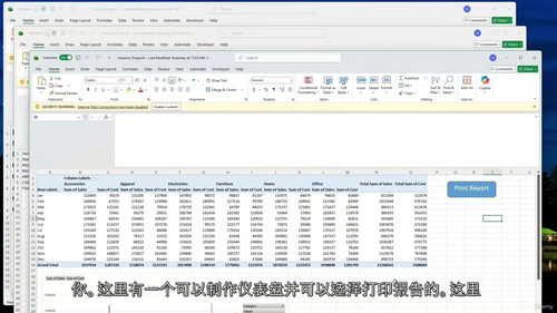 实战商业项目Excel精通教程 (英文视频中文外挂字幕教程)