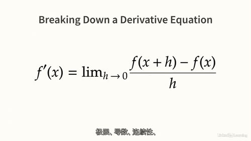 数据科学微积分基础完全指南(中文字幕英文视频教程)