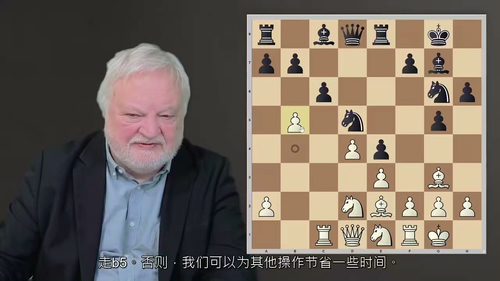 国际象棋基础进阶3：棋艺精进教程  (中文字英文视频教程)