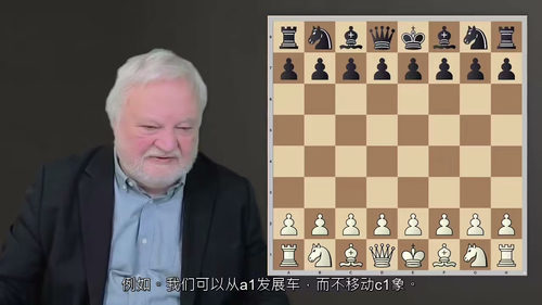 国际象棋基础进阶3：棋艺精进教程  (中文字英文视频教程)
