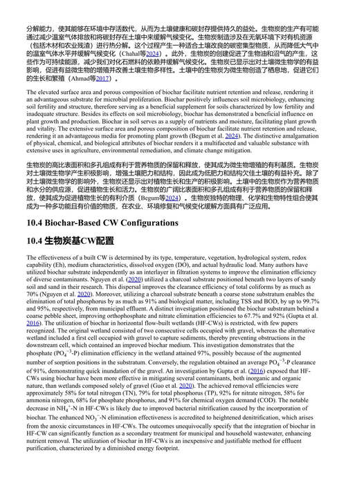 人工湿地:可持续污水处理与生物循环经济 曼努吉·库马尔等主编 (中英对照电子书)